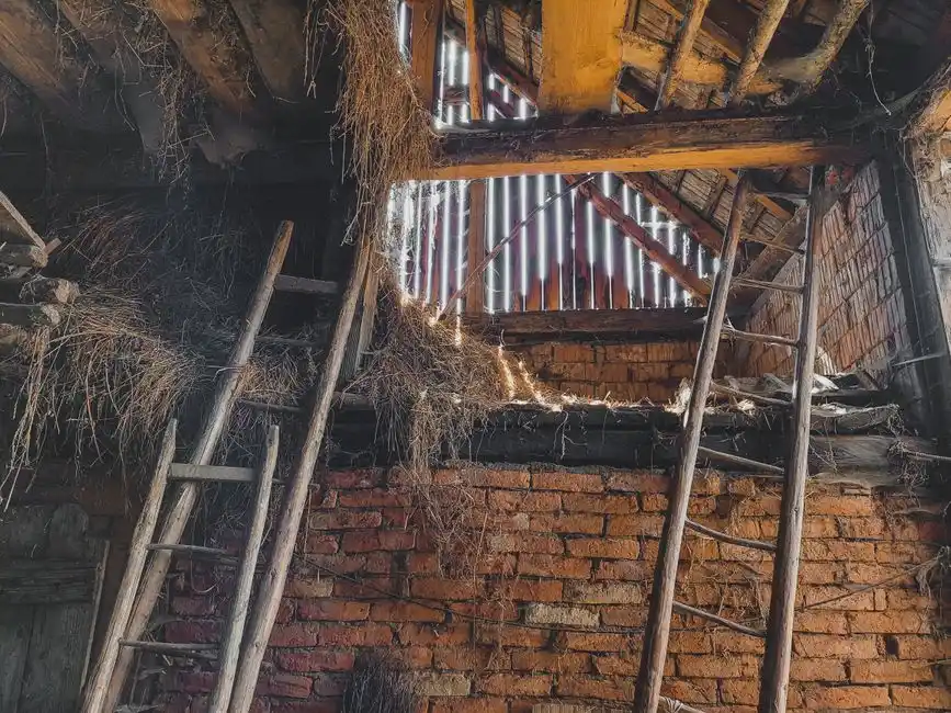 Same day spray foam removal in Baswich: what to expect