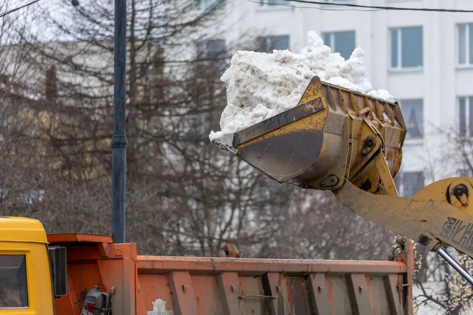 Spray foam removal near me for Stafford homes