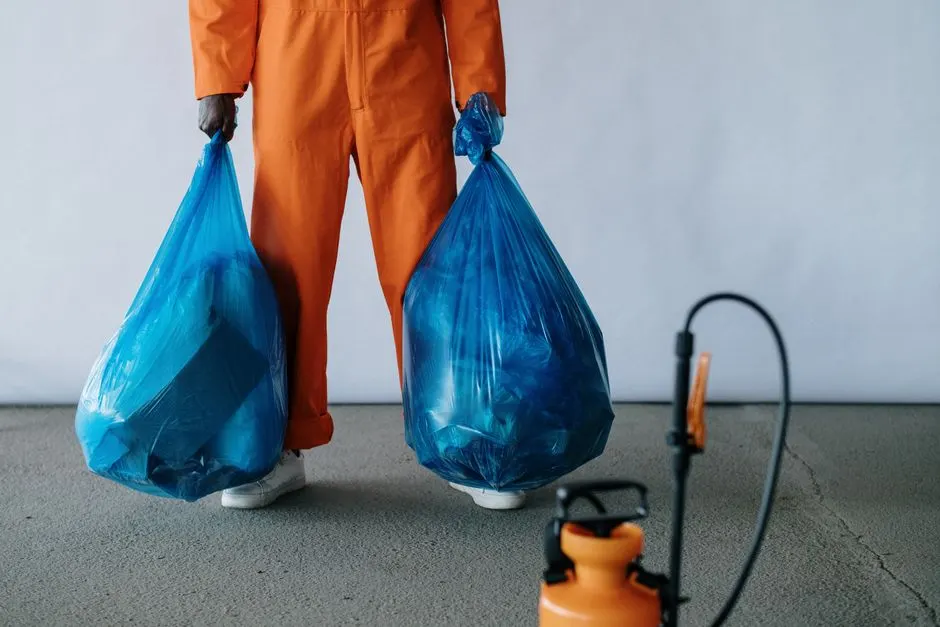 Spray foam removal near me in Stafford, Staffordshire